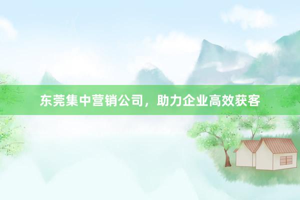 东莞集中营销公司，助力企业高效获客